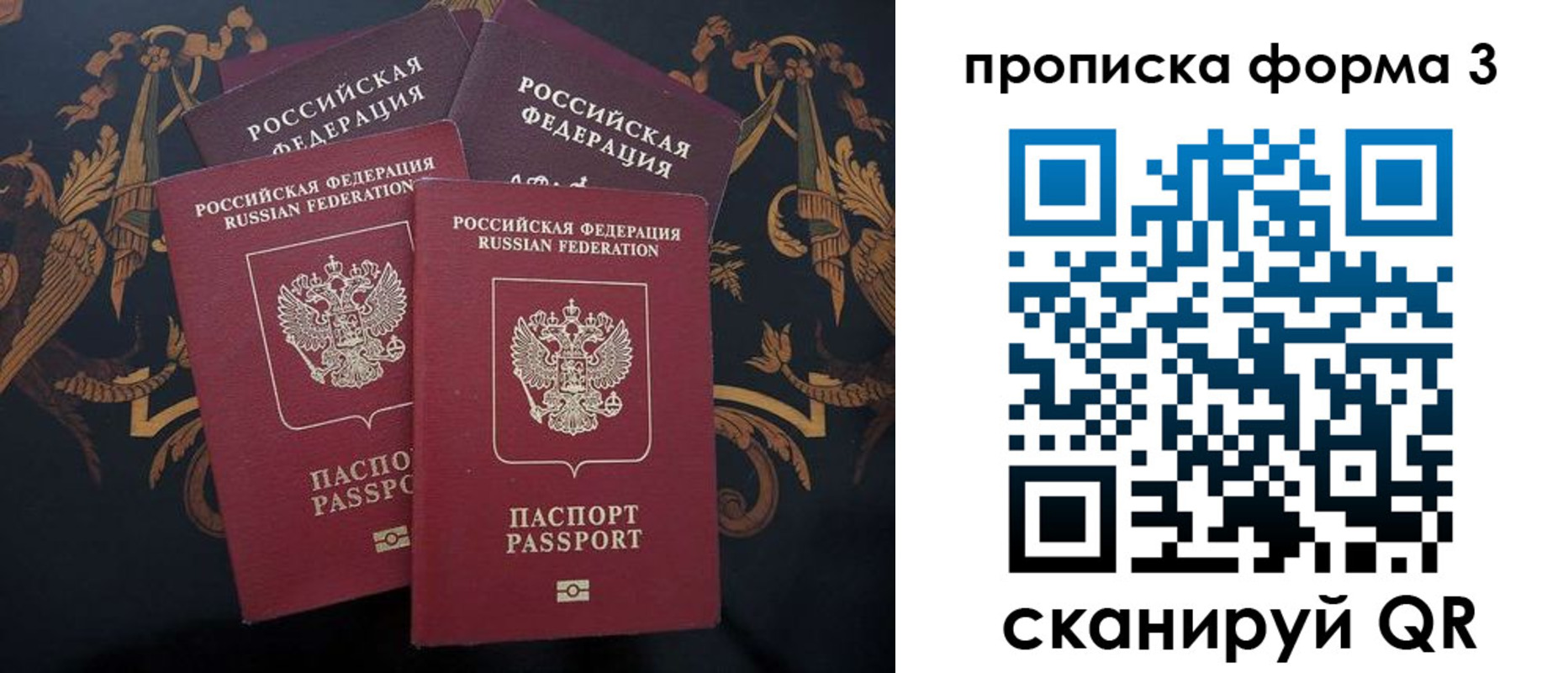прописка законно в Пионерском